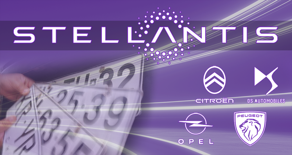 Registro ventas y patentes concesionarios